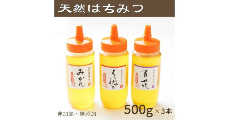 【ふるさと納税】竹内養蜂の蜂蜜3種(みかん・くろがねもち・百花) 各500g【1302260】