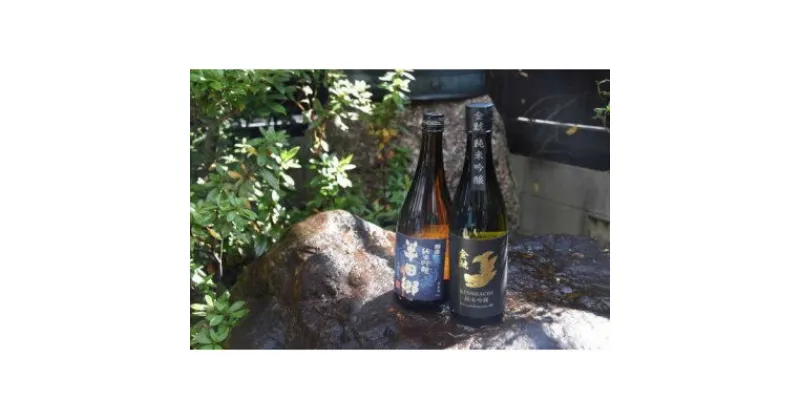 【ふるさと納税】半田の酒　飲み比べセット(純米吟醸酒720ml×2本)【1289499】