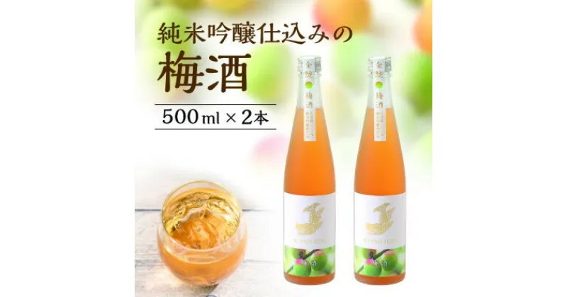 【ふるさと納税】【金鯱】純米吟醸仕込みの梅酒(500ml×2本)【1485677】