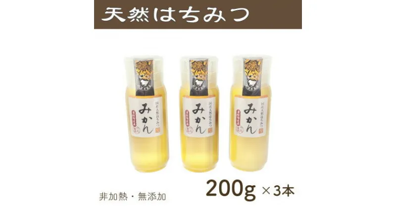 【ふるさと納税】竹内養蜂の蜂蜜1種(みかん3本) 各200g プラスチック便利容器【1488839】