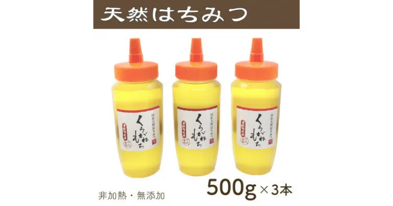 【ふるさと納税】竹内養蜂の蜂蜜1種(くろがねもち3本) 各500g【1488844】