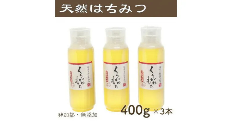 【ふるさと納税】竹内養蜂の蜂蜜1種(くろがねもち3本) 各400g プラスチック便利容器【1488847】