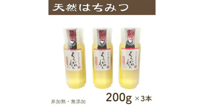 【ふるさと納税】竹内養蜂の蜂蜜1種(くろがねもち3本) 各200g プラスチック便利容器【1488852】