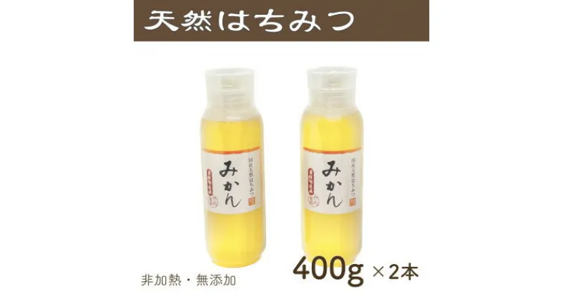 【ふるさと納税】竹内養蜂の蜂蜜1種(みかん2本) 各400g プラスチック便利容器【1488855】