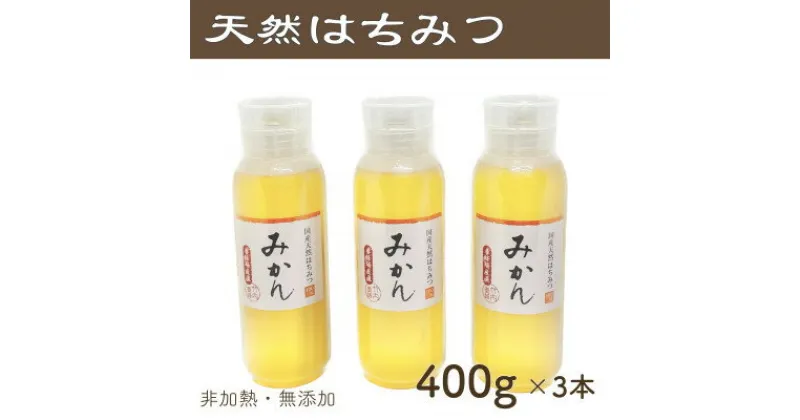 【ふるさと納税】竹内養蜂の蜂蜜1種(みかん3本) 各400g プラスチック便利容器【1488860】