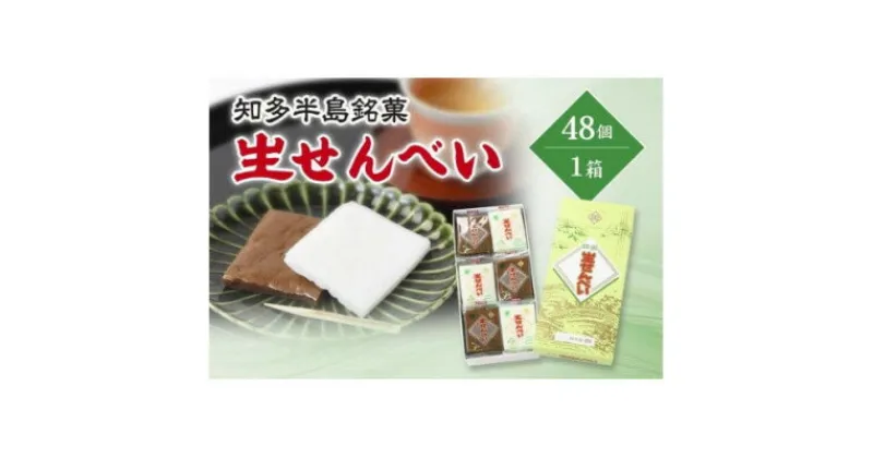 【ふるさと納税】愛知県知多半島の特産銘菓「生せんべい」48ヶ入り箱×1箱【1495429】