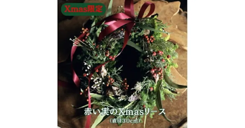 【ふるさと納税】Xmas限定　クリスマスリース Φ30 クリスマス　おしゃれ