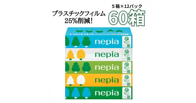 【ふるさと納税】2週間以内発送 ネピアティシュ フィルムレス 120組 5箱×12パック ネピア ティッシュ テイシュ ティッシュペーパー nepia 箱ティッシュ 箱 ボックス ボックスティッシュ 日用品 消耗品 フィルムレス 花粉症 全国 発送 環境にやさしい 備蓄 防災 やわらかい