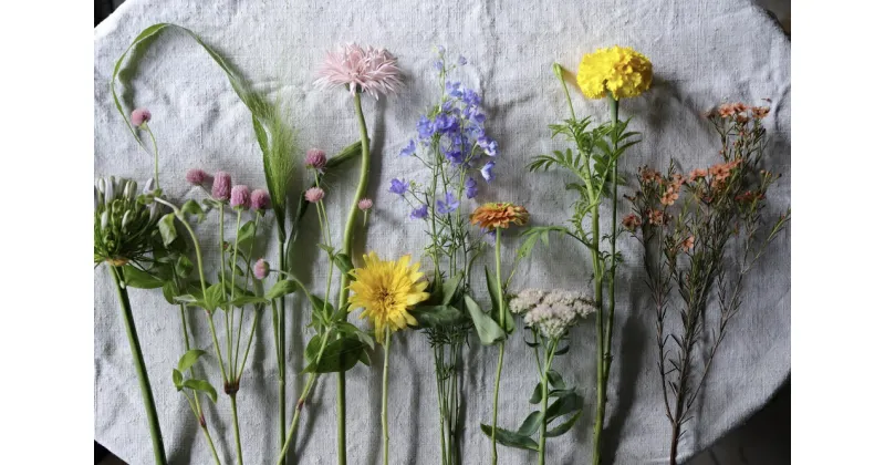 【ふるさと納税】【定期便】季節の切り花セットS（6ヶ月間毎月お届け）　　花　観葉植物　切り花　生花　フラワー　飾り　インテリア　花のある生活　自宅や職場で　季節　旬の花　明るい　華やか　春　夏　秋　冬