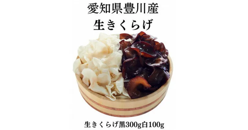 【ふるさと納税】豊川産　生きくらげ　朝採りたての選りすぐり　黒300g・白100g【配送不可地域：離島】【1426312】