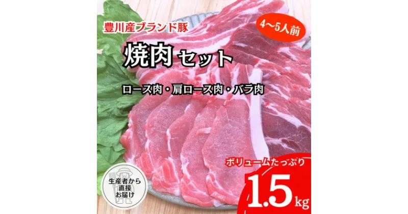 【ふるさと納税】【生産者から直送】豊川産豚肉「とよかわみー豚」　焼肉セット【配送不可地域：離島・北海道・沖縄県】【1478988】