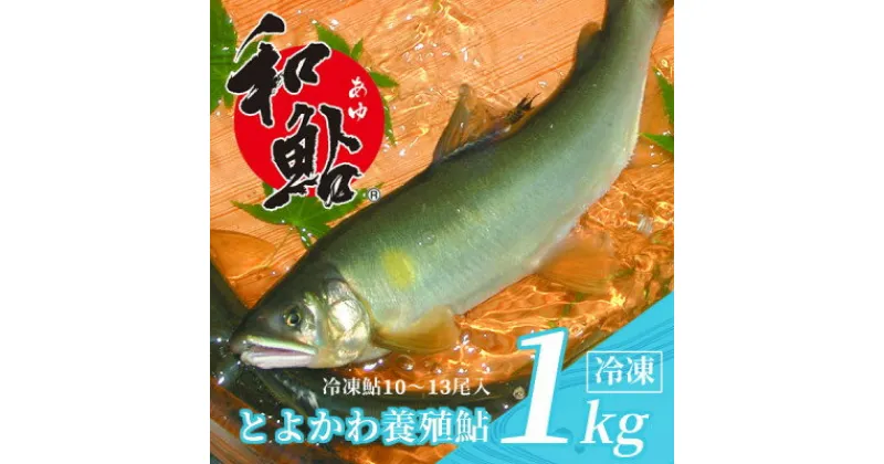 【ふるさと納税】「とよかわ鮎1kg」【配送不可地域：離島】【1289322】