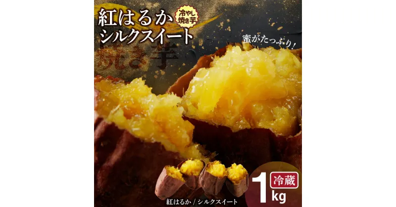 【ふるさと納税】焼き芋 1kg 紅はるか シルクスイート 500g 2パック 蜜たっぷり 冷やし焼き芋 ひえひえ君 芋スイーツ さつまいも 真空パック 甘い 焼き芋専門店 やきいも丸じゅん 愛知県 碧南市 お取り寄せ 冷蔵 送料無料