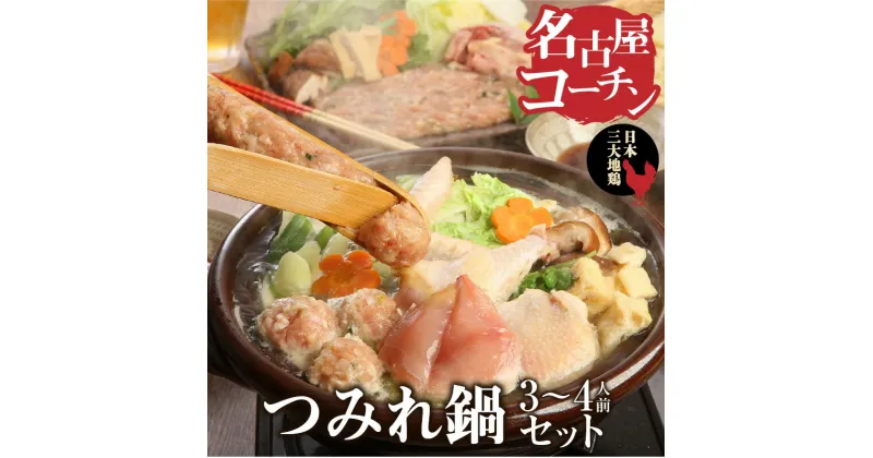 【ふるさと納税】元祖 白だし 濃厚スープ　名古屋コーチン つみれ鍋 セット（3〜4人前）きしめん 付き 鍋 鳥