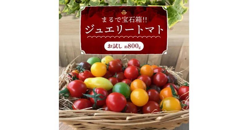 【ふるさと納税】まるでトマトの宝石箱！ フルーツのように甘くて濃厚 色とりどりの ジュエリートマト 約 800g 長田農園 フルーツジュエリートマト ミニトマト トマト カラフル 野菜 宝石箱 甘い 濃厚 完全木熟 お試し 美容 健康 お取り寄せ 愛知県 碧南市 送料無料