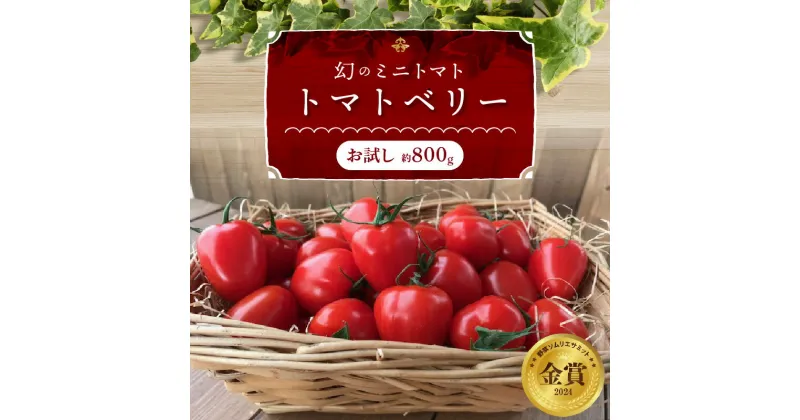 【ふるさと納税】高評価☆4.71 幻 トマトベリー お試し 約 800g 甘い いちご型 フルーツミニトマト ミニトマト トマト 野菜ソムリエサミット 金賞 受賞 長田農園 薄皮 食べやすい 完全木熟栽培 リコピン お取り寄せ グルメ 野菜 産地直送 長田農園 愛知県 碧南市 送料無料