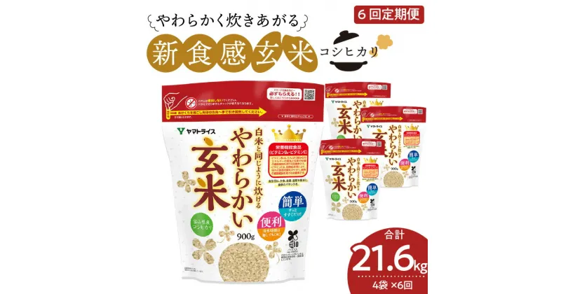 【ふるさと納税】白米と同じように炊ける やわらかい玄米 定期便 6ヶ月 毎月 3.6kg (900g×4袋) 玄米 富山県産 コシヒカリ 安心安全 ヤマトライス 米 お米 栄養豊富 簡単 便利 弁当 おにぎり 食品 食べ物 お取り寄せ 送料無料