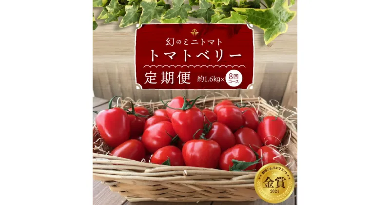 【ふるさと納税】先行受付 個数限定 11月〜6月 毎月発送 幻のミニトマト ミニトマト トマトベリー 定期便 約1.6kg 8回 野菜ソムリエサミット 金賞 受賞 産地直送 トマト とまと 野菜 やさい フルーツ サラダ 甘みが強い いちご型 子供 人気 長田農園 愛知県 碧南市 送料無料