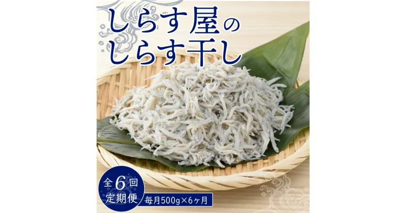 【ふるさと納税】定期便 6ヵ月 しらす 500g しらす屋の しらす干し ふっくら 柔らか 贈答用 ギフト 送料無料