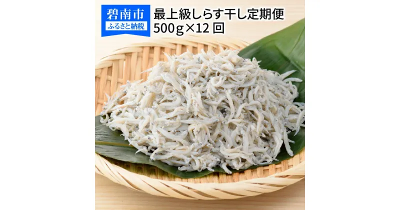 【ふるさと納税】定期便 12回 しらす 500g × 12ヶ月 しらす屋の しらす干し ふっくら 柔らか 三河大浜漁港 贈答品 ギフト 送料無料