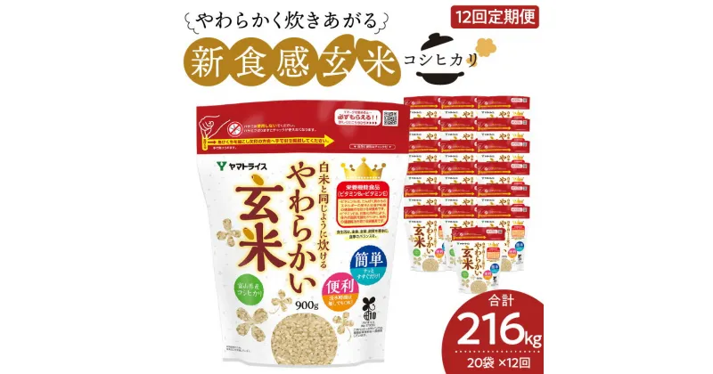 【ふるさと納税】玄米 定期便 12ヶ月 18kg（900g×20袋） 小分け 米 こめ コメ ごはん 栄養豊富 簡単 便利 美容 健康 新食感 もちもち 安心安全なヤマトライス 碧南市 送料無料