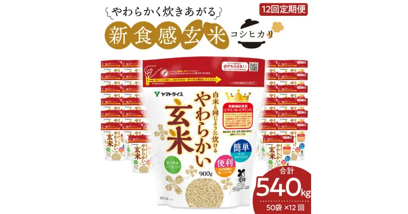 【ふるさと納税】玄米 定期便 12ヶ月 45kg（900g×50袋） 小分け 米 こめ コメ ごはん 栄養豊富 簡単 便利 美容 健康 新食感 もちもち 安心安全なヤマトライス 碧南市 送料無料