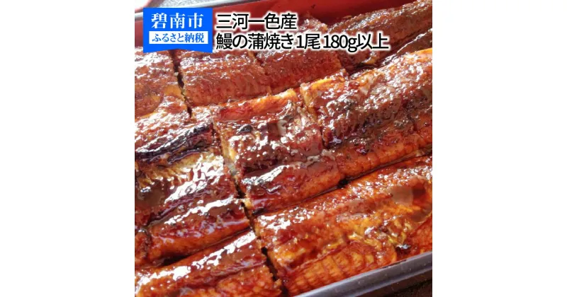 【ふるさと納税】三河一色産 鰻の蒲焼き 1尾 180g以上 うなぎ処はちすか