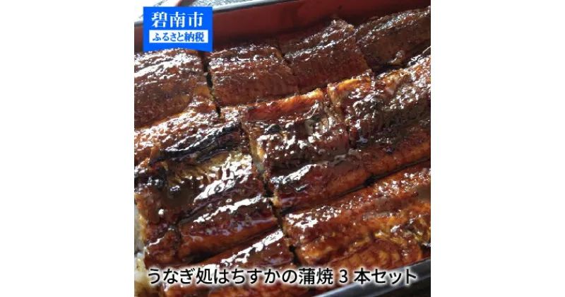 【ふるさと納税】三河一色産 鰻の蒲焼き 3尾 計540g以上 うなぎ処はちすか