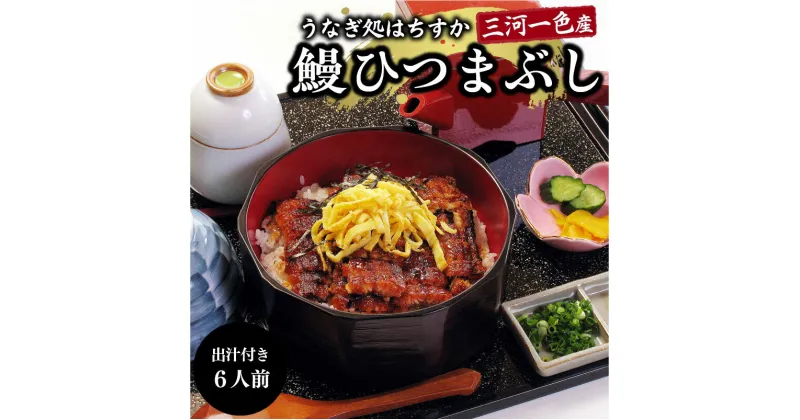 【ふるさと納税】三河一色産 鰻ひつまぶし 6人前 出汁付き うなぎ処はちすか