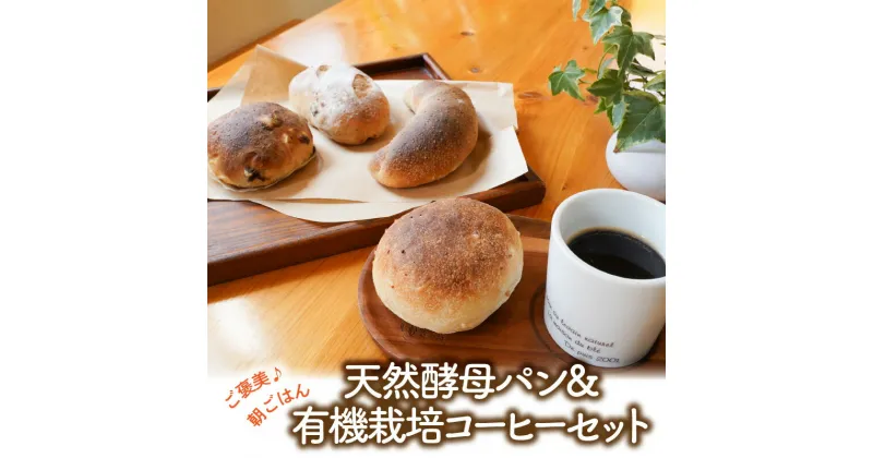 【ふるさと納税】パン 日替わりパン 6個 コーヒー ワンドリップコーヒー 6袋 セット ご褒美 朝ごはん 天然酵母 発芽玄米酵母 有機栽培豆 100% 使用 朝食 むぎの家 食品 お取り寄せ お取り寄せグルメ 碧南市 送料無料