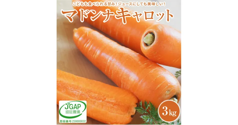 【ふるさと納税】にんじん マドンナキャロット 3kg 大小サイズ混合 12本前後 こどもも食べられる甘み ジュースにしても美味しい 皮まで食べられる ミネラル 甘み豊か JGAP認証農場 生鮮食品 野菜 国産 かき揚げ 煮物 お取り寄せ 愛知県 碧南市 送料無料