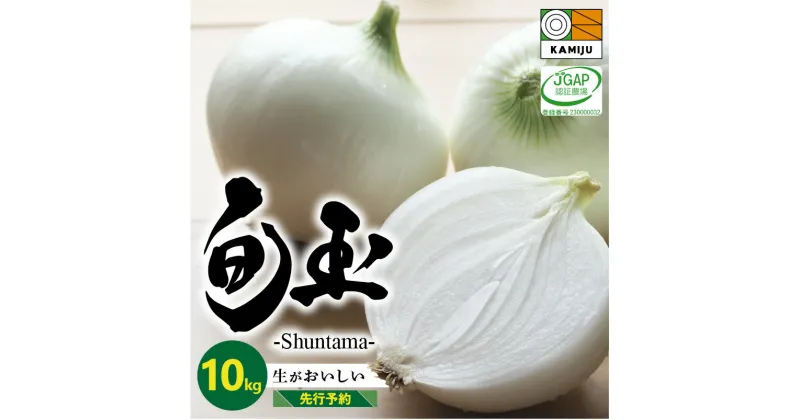 【ふるさと納税】 とにかく甘い 新玉ねぎ 旬玉 10kg 玉ねぎ 野菜 サラダ オニオン ブランド玉ねぎ 生がおいしい フレッシュ えぐみが少ない 肉厚 オニオンスライス 玉ねぎステーキ オニオンスープ JGAP認証農場 神重農産 愛知県 碧南市 お取り寄せ 送料無料