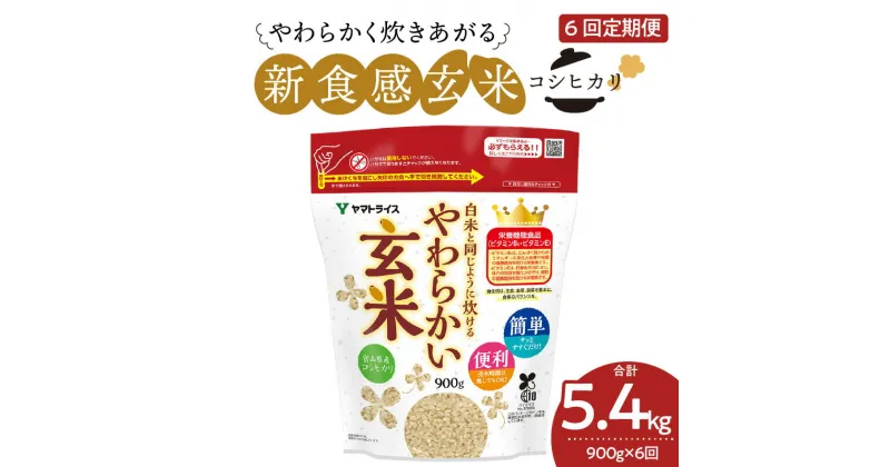 【ふるさと納税】やわらかい玄米 900g　※6回定期便　安心安全なヤマトライス