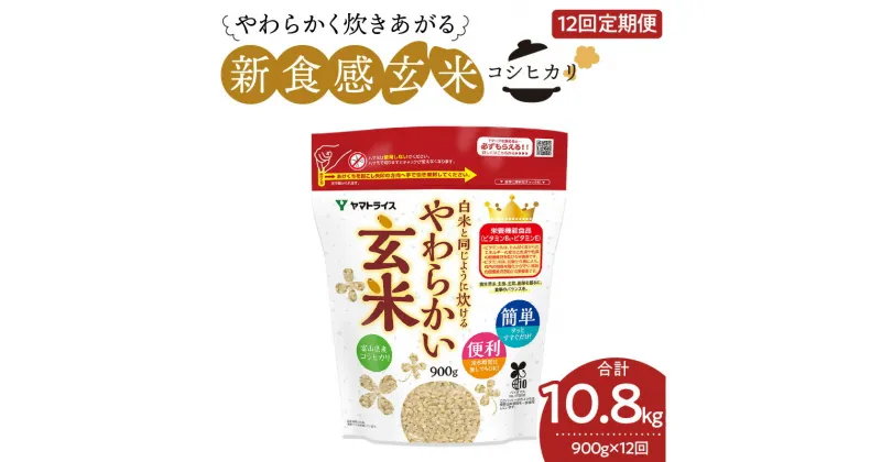 【ふるさと納税】やわらかい玄米 900g ※12回定期便　安心安全なヤマトライス