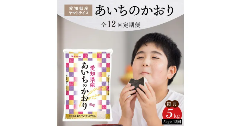 【ふるさと納税】愛知県産あいちのかおり 5kg ※12回定期便　安心安全なヤマトライス