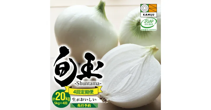 【ふるさと納税】【先行予約】 とにかく甘い 新玉ねぎ 食べ比べ定期便 計 20kg 生がおいしい 神重農産のブランド玉ねぎ 旬玉 玉ねぎ 定期便 5kg × 4回 国産 ミネラル オニオンスライス 玉ねぎステーキ オニオンスープ 野菜 お取り寄せ 愛知県 碧南市 送料無料