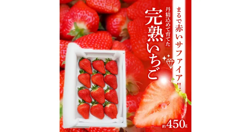 【ふるさと納税】 12月以降順次発送 いちご ゆめのか 赤いサファイア 約 450g 贈答 完熟いちご イチゴ 苺 甘い 夢が叶う 久留米55号 系531 O-farm 送料無料 碧南市