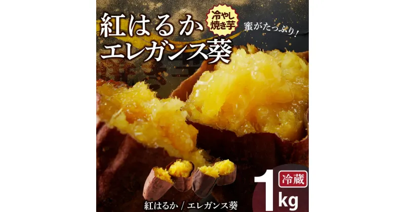 【ふるさと納税】焼き芋 蜜たっぷり！冷やし焼き芋 ひえひえ君 食べ比べ 1kg エレガンス葵＆紅はるか 芋スイーツ