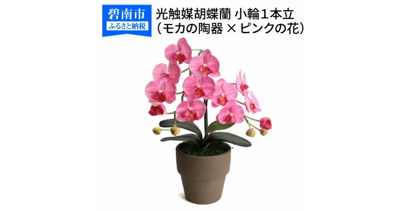 【ふるさと納税】綺麗で丈夫な三河陶器で贈る光触媒胡蝶蘭小輪1本立（モカの陶器×ピンクの花）