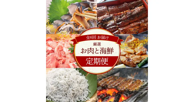 【ふるさと納税】【お試し】お肉 海鮮　定期便 ( 全6回 お届け ) うなぎ 国産 しらす干し 肉 豚肉 豚ミンチ 豚小間切れ 鶏肉 照り焼き 生姜焼き 鰻 しらす 500g しめさば 碧南市 お取り寄せ 送料無料