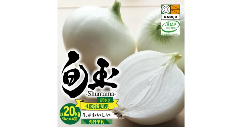 【ふるさと納税】【先行予約】 定期便 4回 訳あり とにかく甘い 新玉ねぎ 5kg × 4 計 20kg 生がおいしい 神重農産のブランド玉ねぎ 玉ねぎ 旬玉 国産 サイズ 不揃い ミネラル オニオンスライス 玉ねぎステーキ オニオンスープ お取り寄せ 野菜 愛知県 碧南市 送料無料