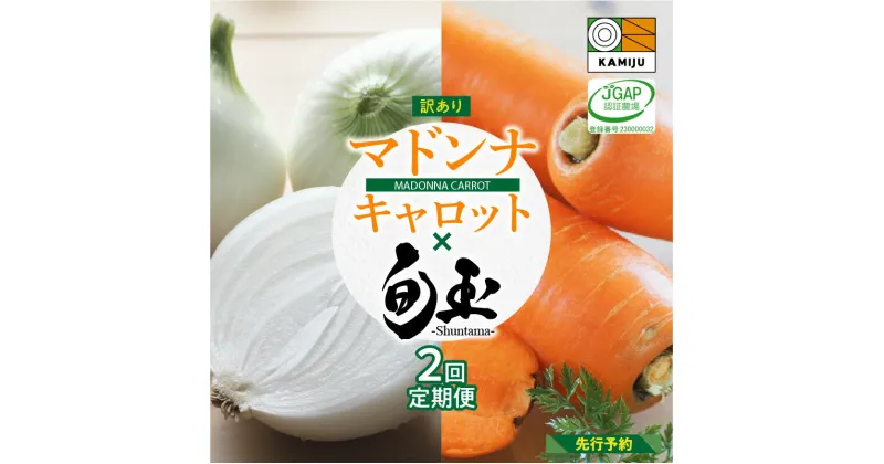 【ふるさと納税】【先行予約】訳あり にんじん 新玉ねぎ 定期便 2回 マドンナキャロット 美味しい お届け 旬玉 たまねぎ 国産 野菜 こどもも食べられる 皮まで食べられる 栄養満点 ミネラル 生鮮食品 愛知県 碧南市 神重農産 かき揚げ 炊き込みご飯 煮物 お取り寄せ 送料無料