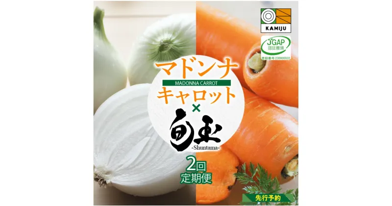 【ふるさと納税】【先行予約】にんじん 新玉ねぎ 定期便 2回　旬 美味しい お届け マドンナキャロット 旬玉 たまねぎ 国産 野菜 こども 甘み 皮まで食べられる 栄養満点 ミネラル 生鮮食品 愛知県 碧南市 神重農産 かき揚げ 炊き込みご飯 煮物 お取り寄せ 送料無料