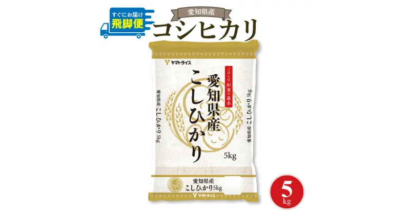 【ふるさと納税】愛知県産コシヒカリ 5kg　安心安全なヤマトライス お米 弁当 おにぎり 食品 食べ物 常温 お取り寄せ 送料無料 愛知県 碧南市