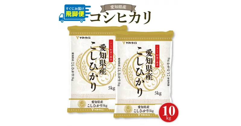 【ふるさと納税】愛知県産コシヒカリ 10kg(5kg×2袋)　安心安全なヤマトライス お米 弁当 おにぎり 食品 食べ物 常温 お取り寄せ 送料無料 愛知県 碧南市