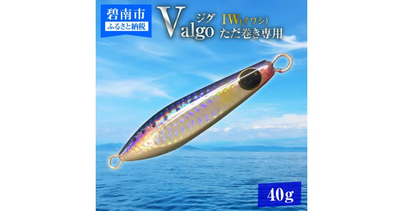 【ふるさと納税】ただ巻き 専用 ジグ Valgo（バルゴ）IW(イワシ） 40g フォールスピード タングステン 並み ショアジギング メタルジグ タイラバ 鯛ラバ ルアー ジギングライトジギング カブラ カブラヘッド 釣り 釣り具