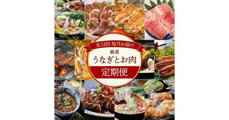 【ふるさと納税】定期便 12回 厳選 うなぎ お肉 名古屋コーチン グリルステーキ 鰻 ハムギフト セット ひつまぶし とんてき しゃぶしゃぶ ハム ソーセージセット 鶏鍋 毎月 お取り寄せ 碧南市 送料無料