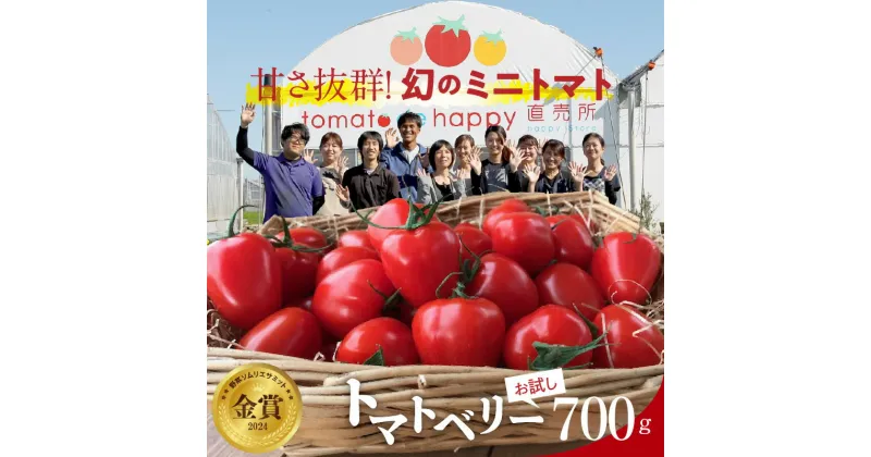 【ふるさと納税】お試し トマト 甘さ抜群 トマト嫌い 食べられるトマトベリー 700g 1月 〜 4月 発送 野菜ソムリエサミット 金賞 受賞 長田農園 幻 ミニトマト とまと 野菜 やさい フルーツ サラダ 健康 リコピン お取り寄せグルメ 国産 野菜 新鮮 食品 産地直送 送料無料