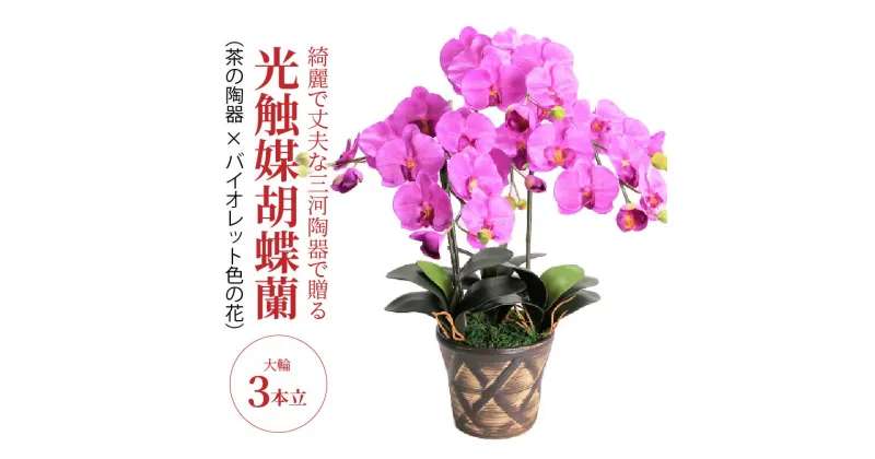 【ふるさと納税】造花 胡蝶蘭 バイオレット色 大輪 3本立 三河焼 植木鉢 陶器 茶色 三河 消臭効果 光触媒加工 光触媒 インテリア 三河陶器 贈り物 ギフト お祝い 出産 誕生日 お取り寄せ 愛知県 碧南市 送料無料