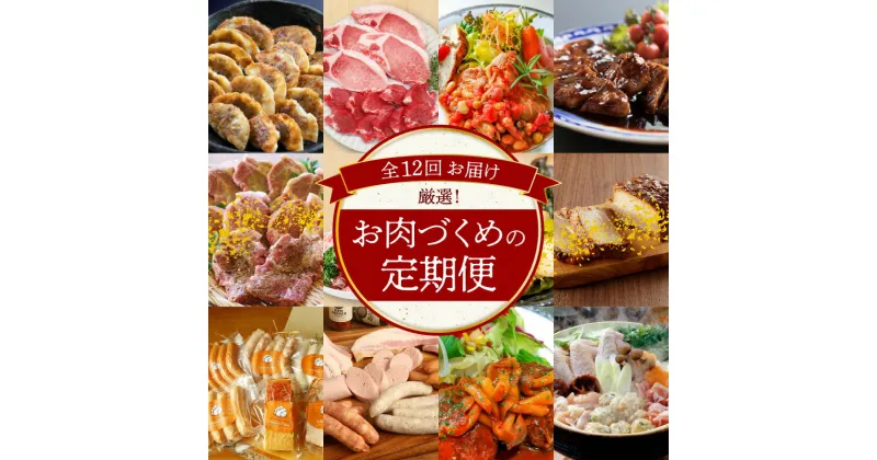 【ふるさと納税】定期便 12回 12ヶ月 厳選 肉 づくめ ぎょうざ とんかつ 豚 とんてき 味付け 名古屋コーチン 唐揚げ ハム ソーセージ デミグラス ハンバーグ 鶏鍋セット 愛知県 碧南市 お取り寄せ お取り寄せグルメ 送料無料